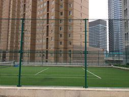 大連隔離網(wǎng)廠(chǎng)家 筑造建筑安全與美觀(guān)的堅(jiān)實(shí)屏障